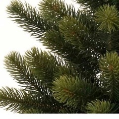 シュヴァルツヴァルトツリー195cm　クリスマスツリー　ヌードツリー（ツリーのみ）　RS GLOBAL TRADE社（Tanne Schwarzwald）アトリエニキティキの画像