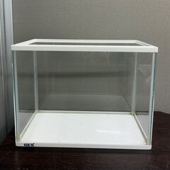 GEX ジェックス アクリル水槽 10ℓ サイズ:横31.5cm奥行16cm高さ24cm 石 砂利 水草 まとめ 水槽 アクアリウムの画像