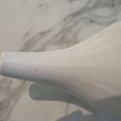 新品未使用 鼻うがい　ポットの画像