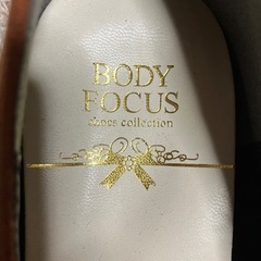 ほぼ未使用24.5センチ婦人靴の画像