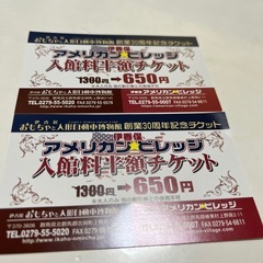 未使用品　アメリカンビレッジ　入場料　半額チケット　伊香保の画像