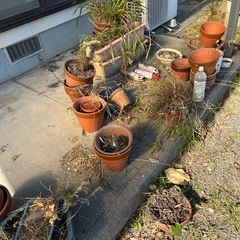 植木鉢の画像