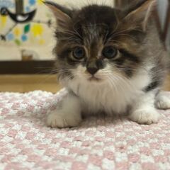 甘えん坊の男の子！