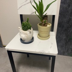 小さめの椅子の画像