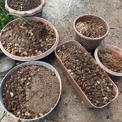 プランターの土、底石あげます。の画像