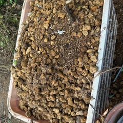 プランターの土、底石あげます。の画像