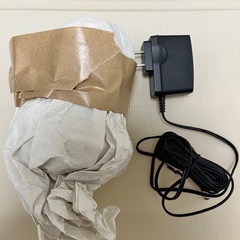 (引越し片付け)室内カメラ、見守りカメラの画像