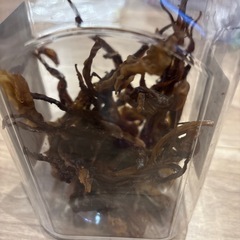 スルメあし　110gの画像