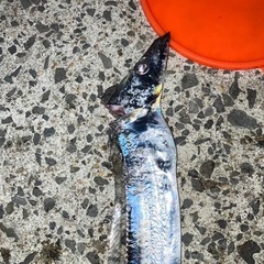 ロッド2.7m1本　右2本1セットの画像