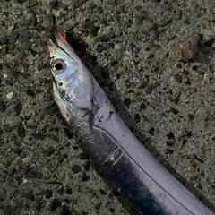 ロッド2.7m1本　右2本1セットの画像