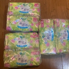 ロリエ肌きれいガードの画像