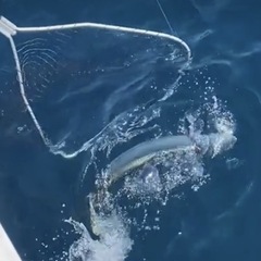 ロッド2.7m1本　写真左3本1セットです。の画像