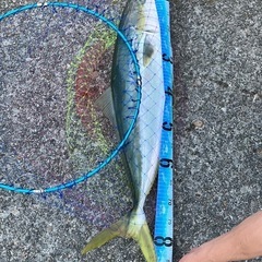 ロッド2.7m1本　写真左3本1セットです。の画像