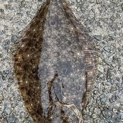 ロッド2.7m1本　写真左3本1セットです。の画像