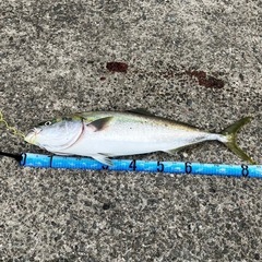 ロッド2.7m1本　写真左3本1セットです。の画像