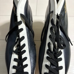 スピードスケート　27.0の画像