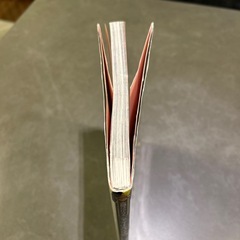 ジャングルのサバイバル1の画像