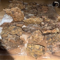 黄虎石セット 約13㎏の画像