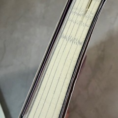 壇蜜 エロスのご作法 小説 勉強本 官能小説の画像