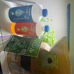 水耕栽培キット（使用済み/傷、汚れあり）の画像