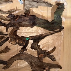 流木セットの画像