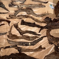 流木セットの画像