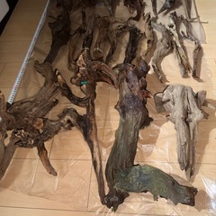 流木セットの画像