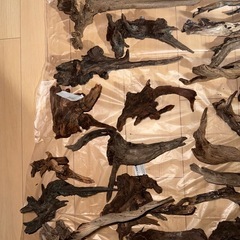 流木セットの画像