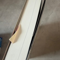 変な家 2 ミステリー 小説 雨穴の画像