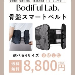 【未使用、試着可、値段交渉可】ワイヤーコルセット(介護、引越など)の画像