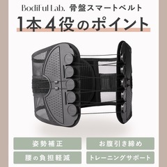 【未使用、試着可、値段交渉可】ワイヤーコルセット(介護、引越など)の画像