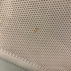 電子レンジの画像