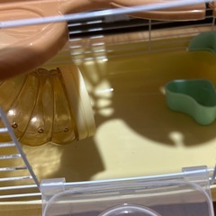 2階建てハムスターゲージの画像