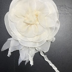 Wedding dressの画像