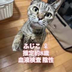 急募！キャンセルの為ふじこちゃん再募集！