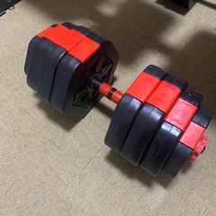 STEADY トレーニングベンチ  インクラインベンチ　ダンベルセットの画像