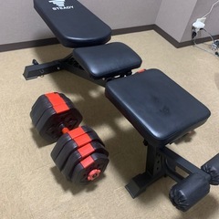 STEADY トレーニングベンチ  インクラインベンチ　ダンベルセットの画像