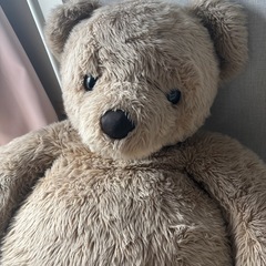 テディベア(大)の画像