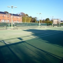 津南硬式テニス メンバー募集！