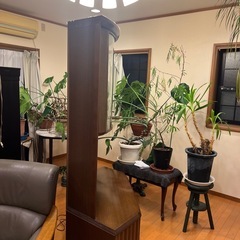 テレビ台の画像