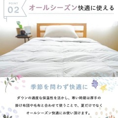 洗えるダウンケット 肌掛け布団 キングサイズ 230×210cmの画像