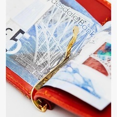 [グレンロイヤル] マネークリップ 小銭入れ付き 2つ折り 財布 カードケースの画像