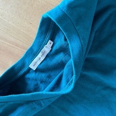 レディーストップスMの画像