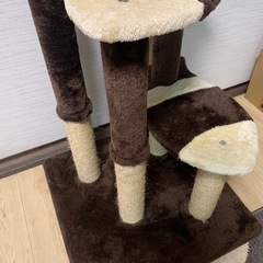 【受け渡し者決定】
ペティオ お魚キャットタワーの画像