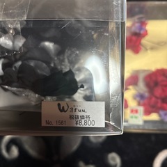 ティアラ、髪飾り の画像