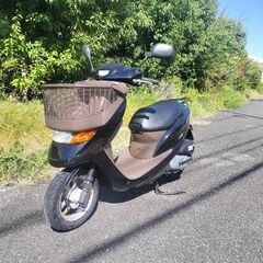 ホンダディオチェスタの画像