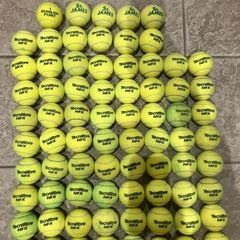 テニスボール75球(2025.7-10月使用)の画像