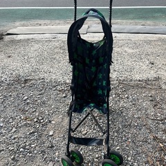 T-REXティー レックスベビーカー B型バギー  の画像