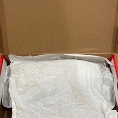 NIKE　AIR MAX PHENOMENAの画像