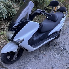 完売しました。
【大阪】値下げ！ヤマハマジェスティ125FI(インジェクション)実動書有、走行全国発送可能！近距離配送あり(^^) 送料お問い合わせ下さい！ の画像